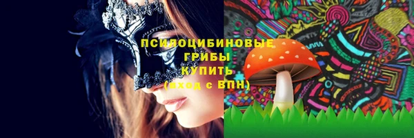 дурь Нягань