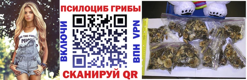 Псилоцибиновые грибы ЛСД  Окуловка 